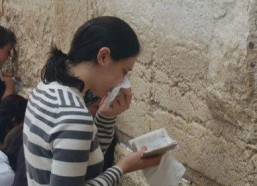 娱乐吃瓜君陶白白,陶白白带你领略娱乐圈的“瓜田”盛景