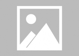 娱乐吃瓜君遛鸟大师身高