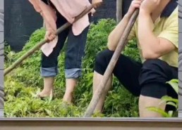 娱乐健身吃瓜,吃瓜群众乐翻天