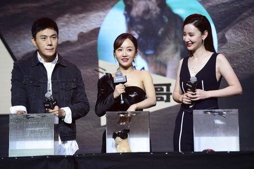 吃瓜群众cj爆料娱乐圈,吃瓜群众cj揭秘幕后真相