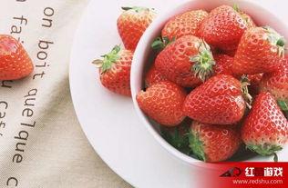 娱乐吃瓜酱草莓视频