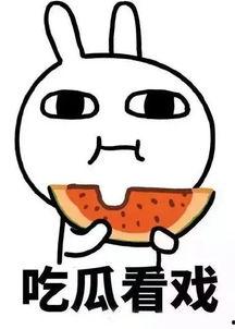 娱乐吃瓜酱学习